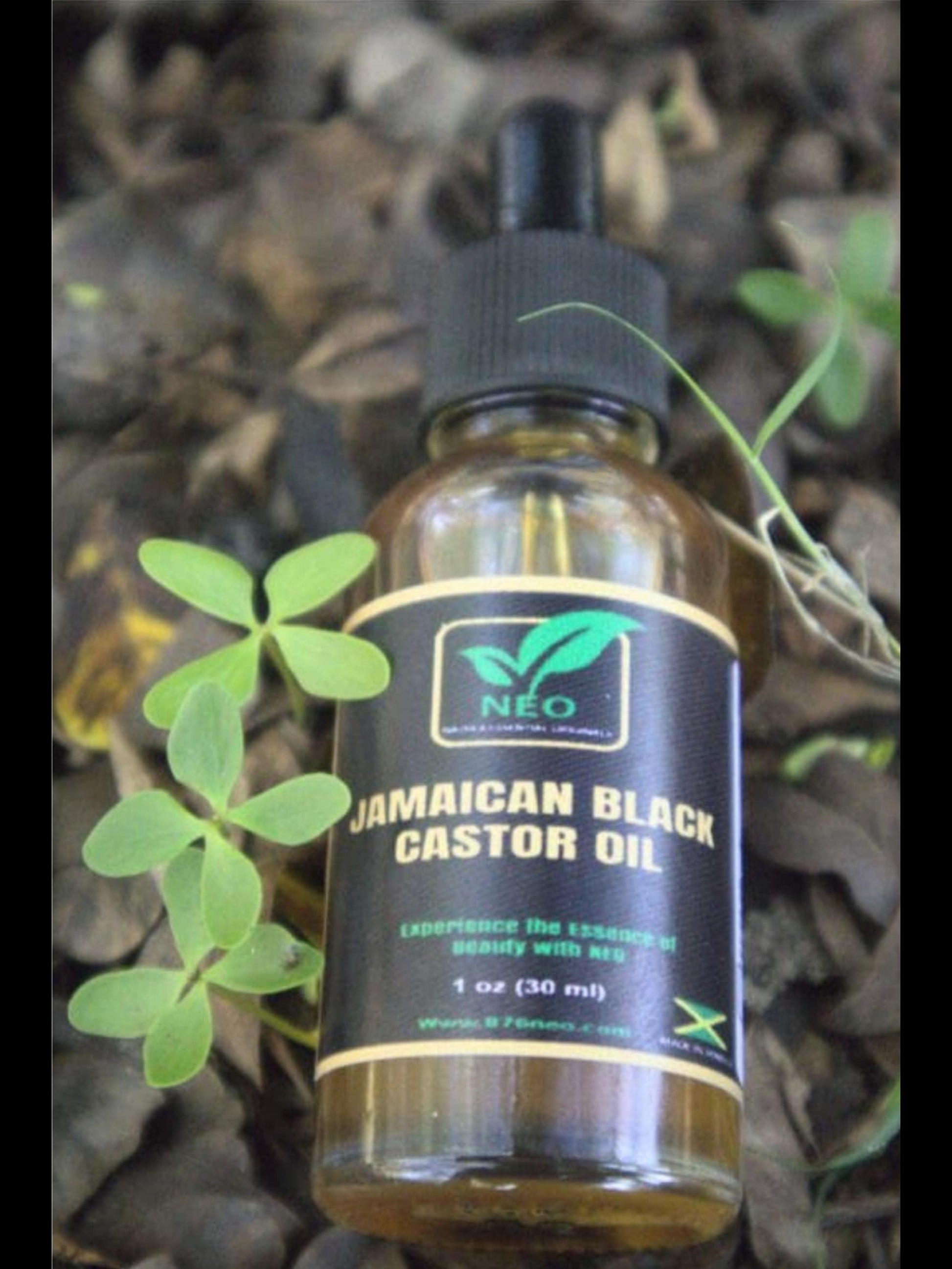 Jamaican Black Castor Oil (1 oz.)